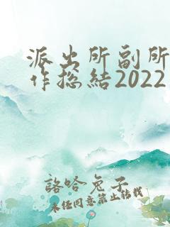 派出所副所长工作总结2022