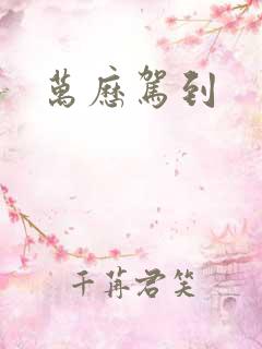 万历驾到