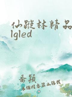 仙踪林精品zzlgled