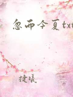 忽而今夏txt