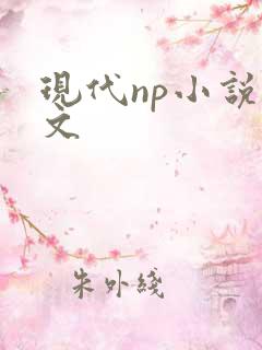 现代np小说辣文