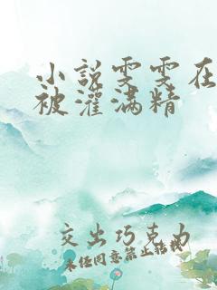 小说雯雯在工地被灌满精