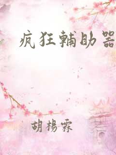 疯狂辅助器