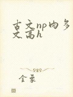古文np肉多荤文高h