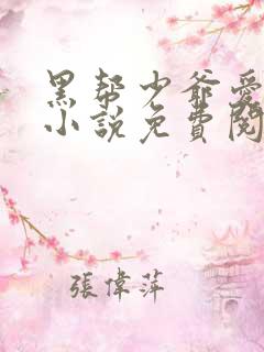 黑帮少爷爱上我小说免费阅读