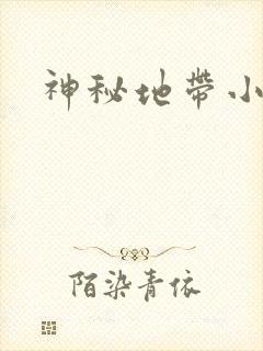 神秘地带小说