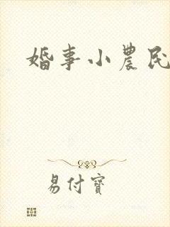婚事小农民