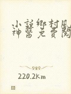 小说乡村风流小神医免费阅读全文