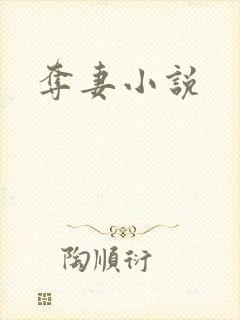 夺妻小说