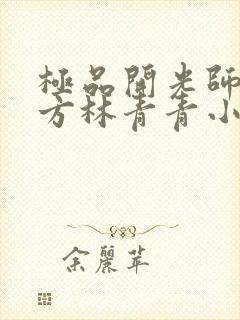 极品开光师李南方林青青小说免费阅读