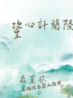 攻心计兰陵笑笑生