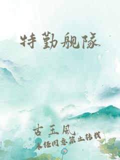 特勤舰队
