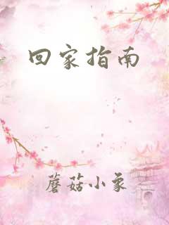 回家指南