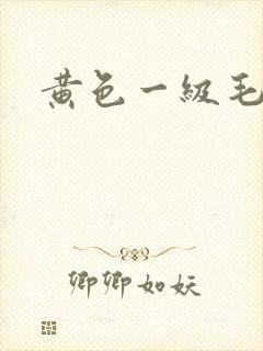 黄色一级毛一片
