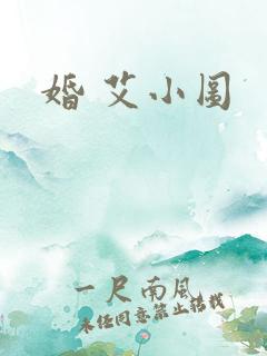 婚 艾小图