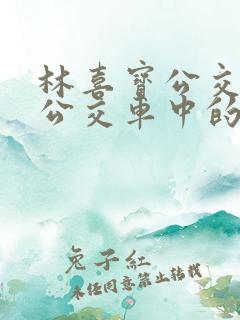 林喜宝公交车(公交车中的林喜宝)