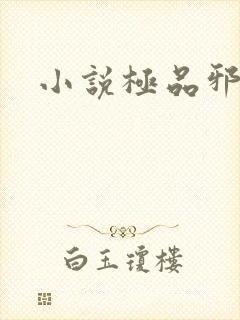 小说极品邪医