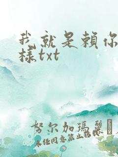 我就是赖你 怎样txt