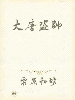 大唐盗帅