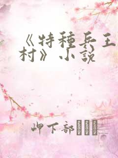 《特种兵王在山村》小说
