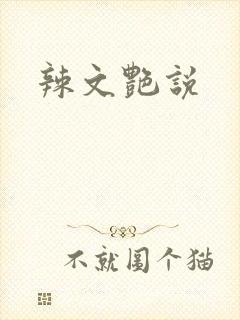辣文艳说