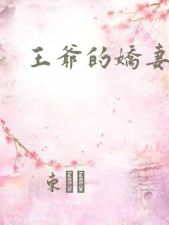 王爷的娇妻