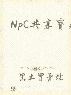 NpC共享宝贝