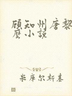 顾知州唐黎叫什么小说
