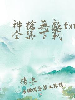 神枪无敌txt全集下载