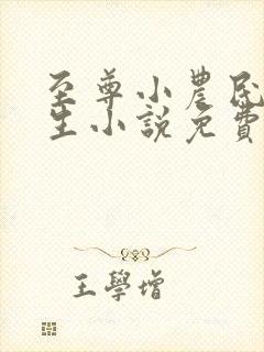 至尊小农民王木生小说免费阅读