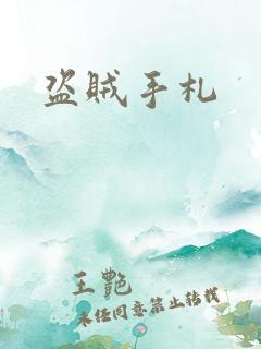 盗贼手札