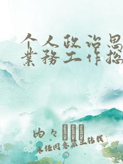 个人政治思想和业务工作总结