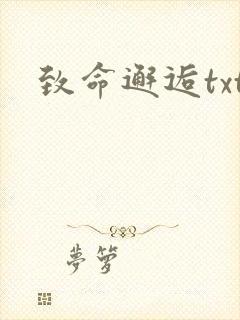 致命邂逅txt