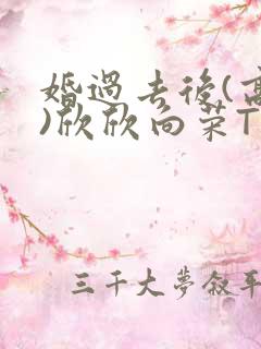 婚过去后(高干)欣欣向荣TXT下载