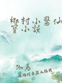 乡村小医仙赵大宝小说
