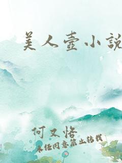 美人壶小说