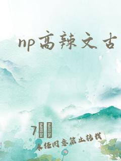 np高辣文古言