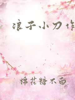 浪子小刀作品
