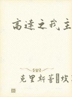 高达之我主沉浮