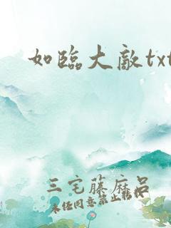 如临大敌txt