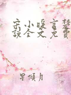 宋小暖言楚行小说全文免费阅读