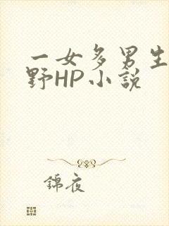一女多男生活狂野HP小说
