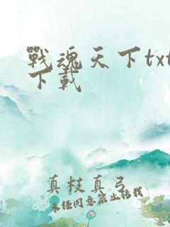 战魂天下txt下载