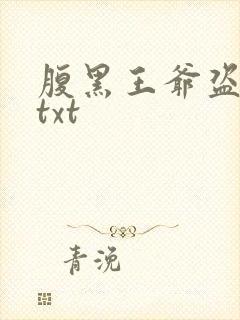 腹黑王爷盗墓妃txt