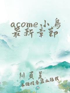 acome小鸟最新章节