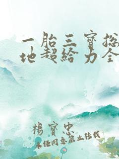 一胎三宝总裁爹地超给力全文免费阅读