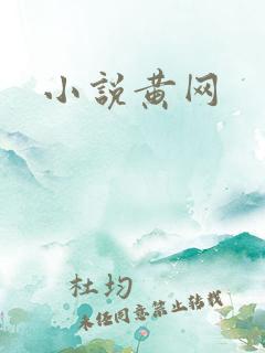 小说黄网