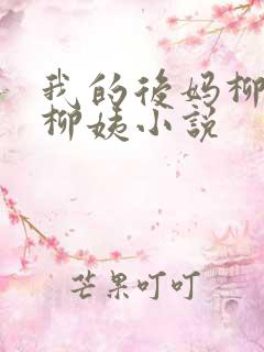 我的后妈柳姨和柳姨小说