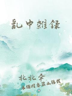 乱中杂录