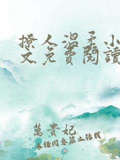 撩人温柔小说全文免费阅读无弹窗